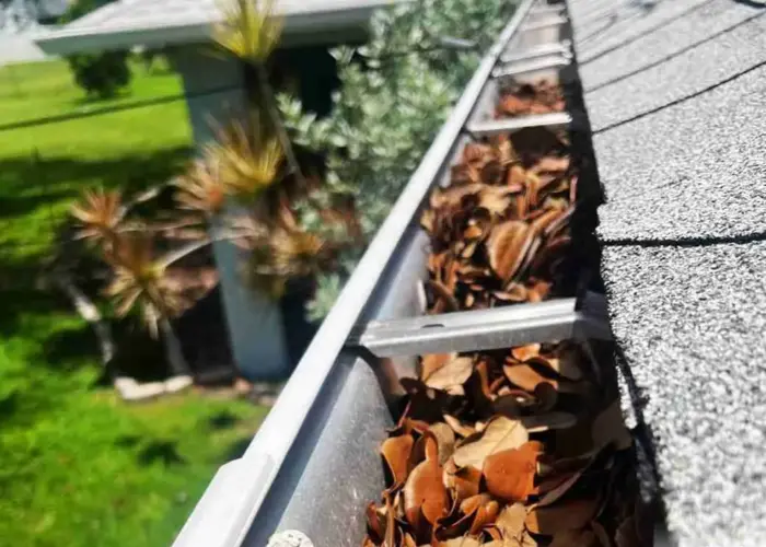 Mandeville gutter cleaning home page